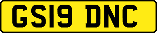 GS19DNC