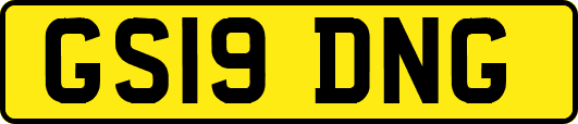 GS19DNG