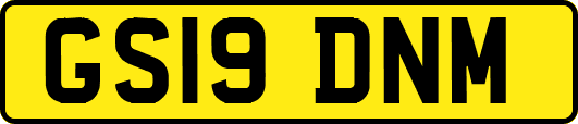 GS19DNM