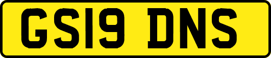 GS19DNS