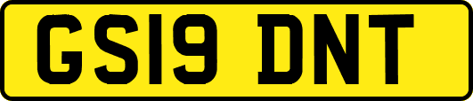 GS19DNT