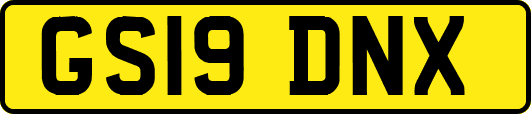 GS19DNX