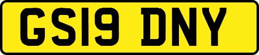GS19DNY