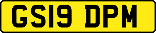 GS19DPM