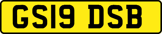 GS19DSB