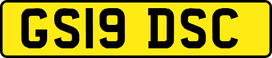 GS19DSC