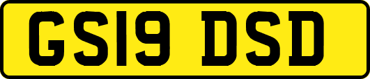 GS19DSD