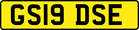 GS19DSE