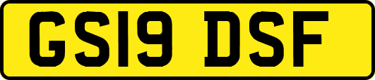 GS19DSF