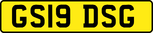 GS19DSG