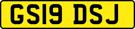 GS19DSJ