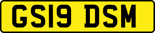 GS19DSM