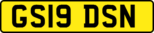 GS19DSN