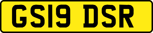 GS19DSR