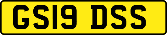 GS19DSS