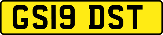 GS19DST