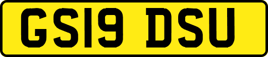 GS19DSU
