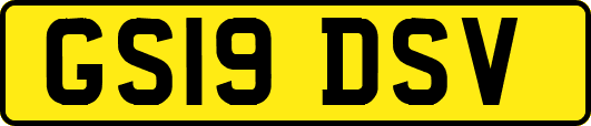 GS19DSV