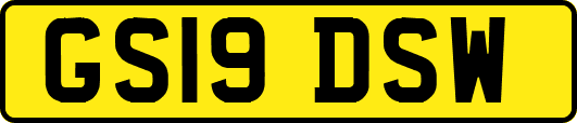 GS19DSW