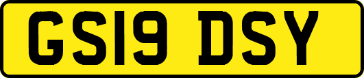GS19DSY