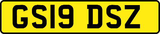 GS19DSZ