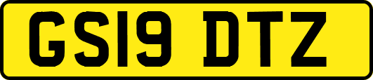 GS19DTZ