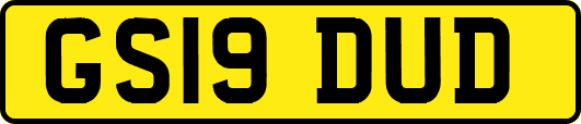 GS19DUD