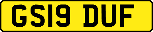 GS19DUF