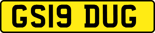 GS19DUG