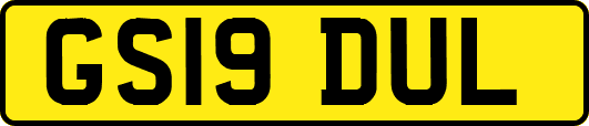 GS19DUL