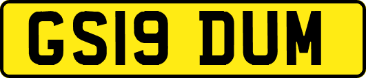 GS19DUM