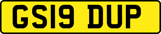 GS19DUP