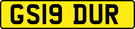 GS19DUR