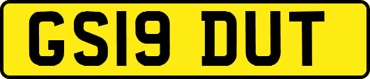 GS19DUT