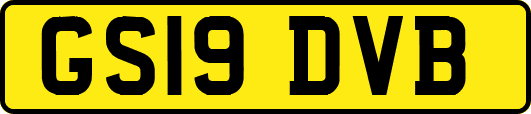 GS19DVB