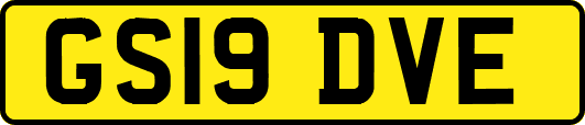 GS19DVE