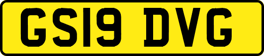 GS19DVG
