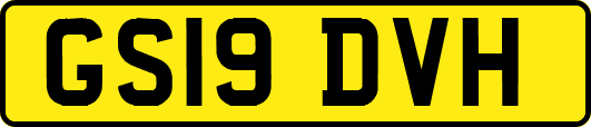 GS19DVH