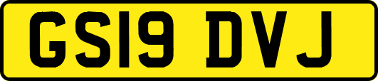 GS19DVJ