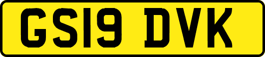 GS19DVK