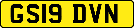 GS19DVN