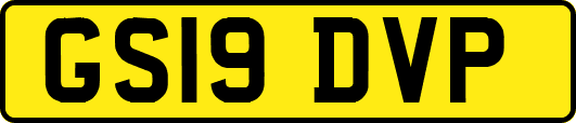 GS19DVP