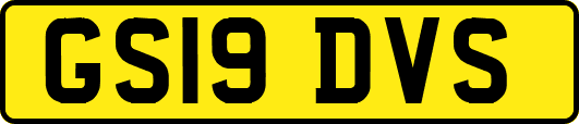 GS19DVS