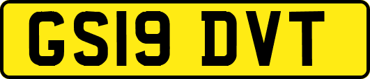 GS19DVT