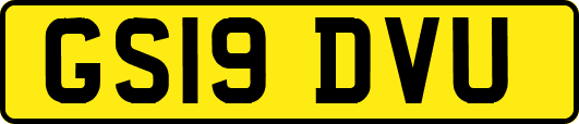 GS19DVU