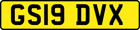 GS19DVX