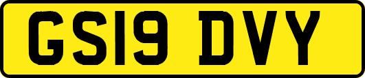 GS19DVY