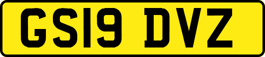GS19DVZ