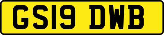 GS19DWB