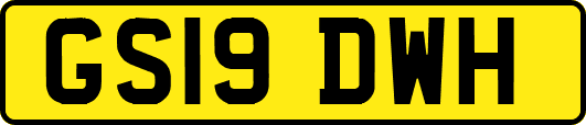 GS19DWH